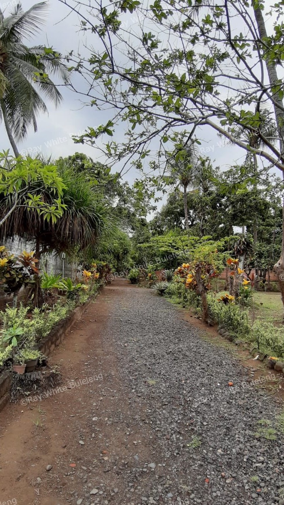 Beachfront Land at Kubutambahan