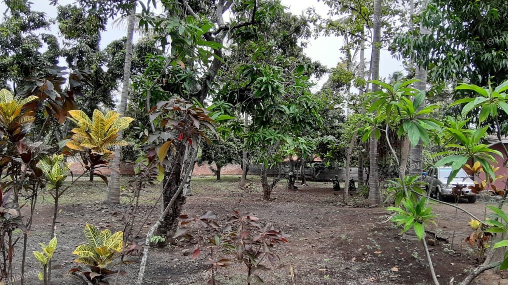 Beachfront Land at Kubutambahan