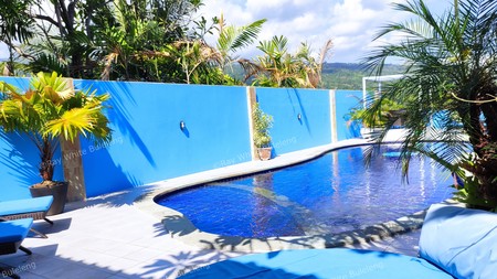 STUNNING OPEN PLAN VILLA IN LOVINA