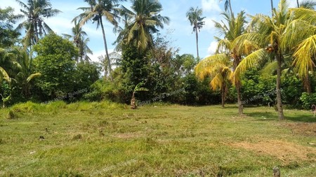1800 M2 LAND FOR SALE AT GEROKGAK SINGARAJA