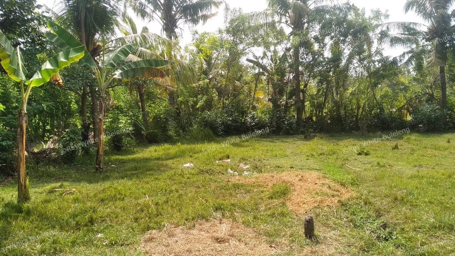1800 M2 LAND FOR SALE AT GEROKGAK SINGARAJA