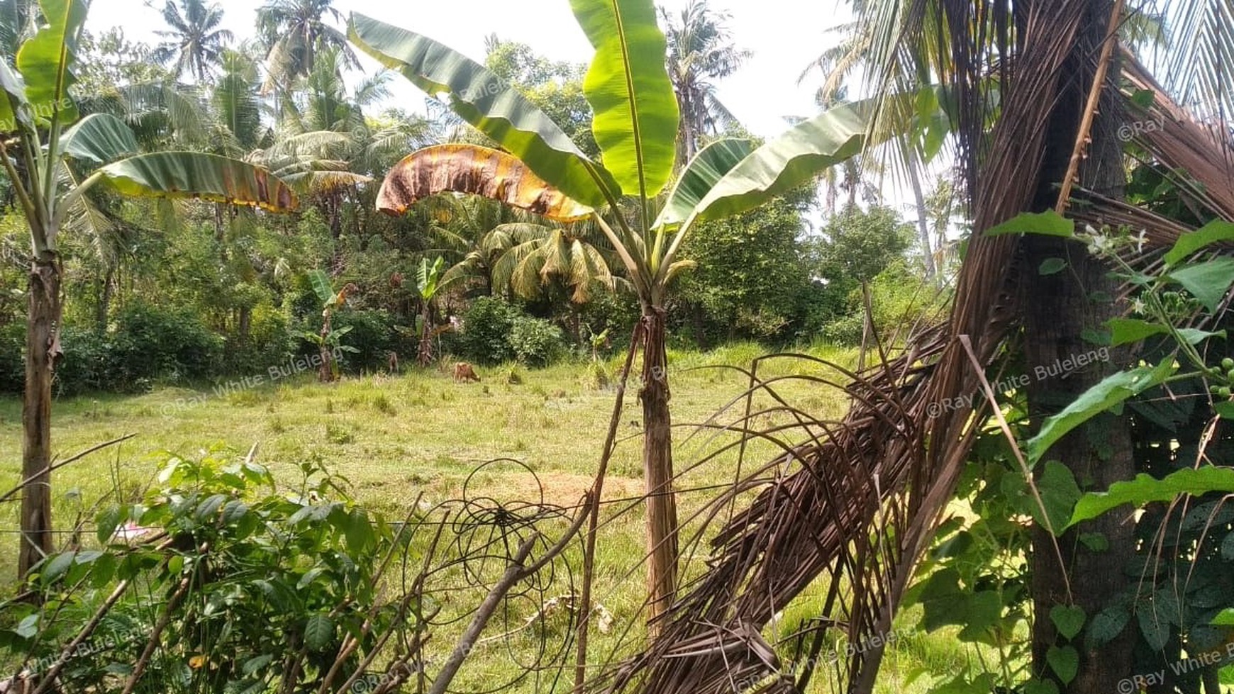 1800 M2 LAND FOR SALE AT GEROKGAK SINGARAJA