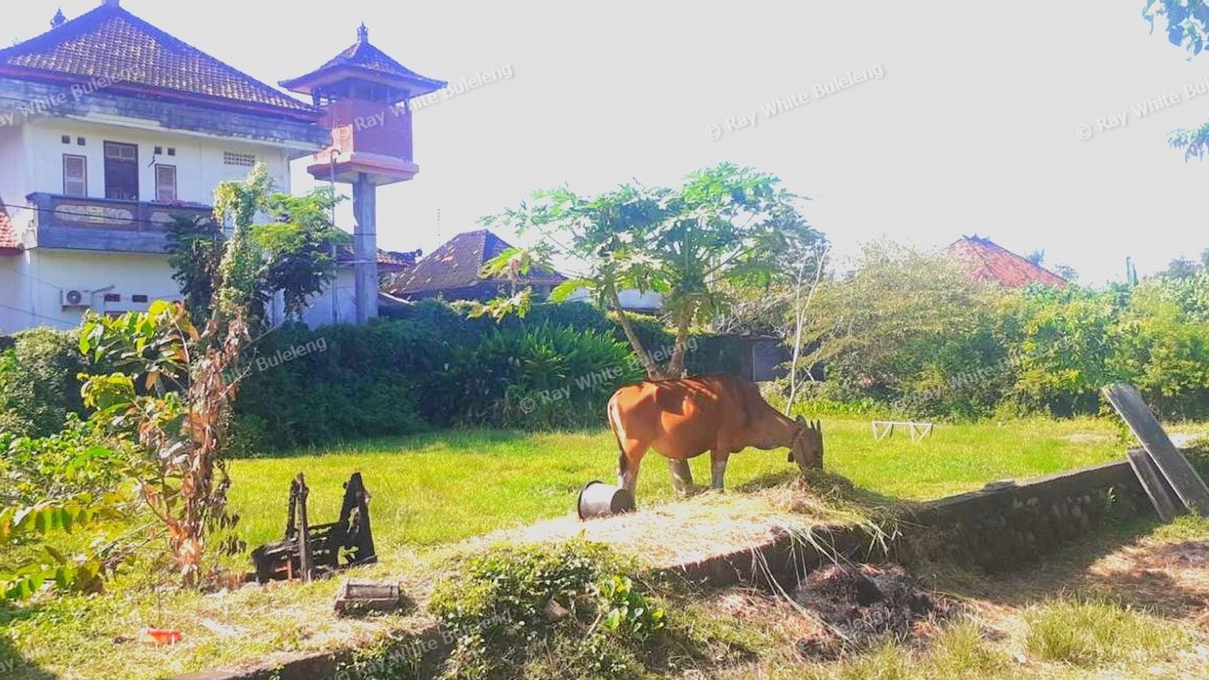 Discover the Best Investment Opportunity in Jembrana