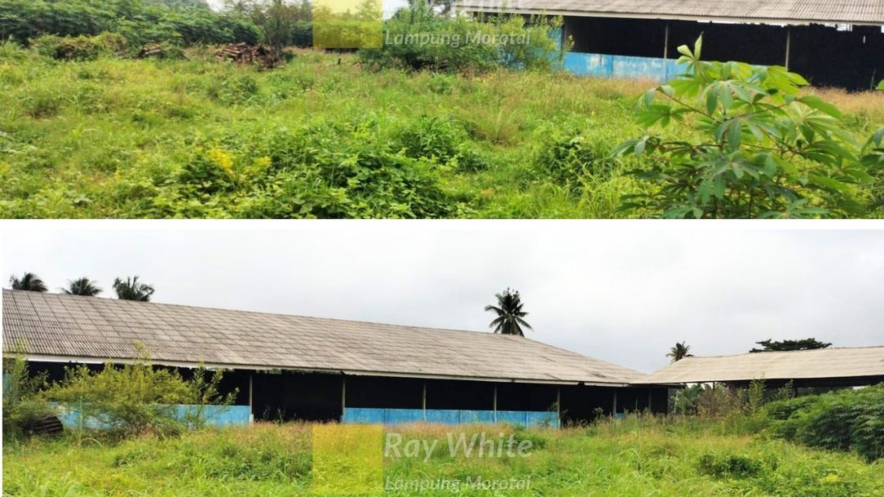 di jual area gudang di nuban lamtengah