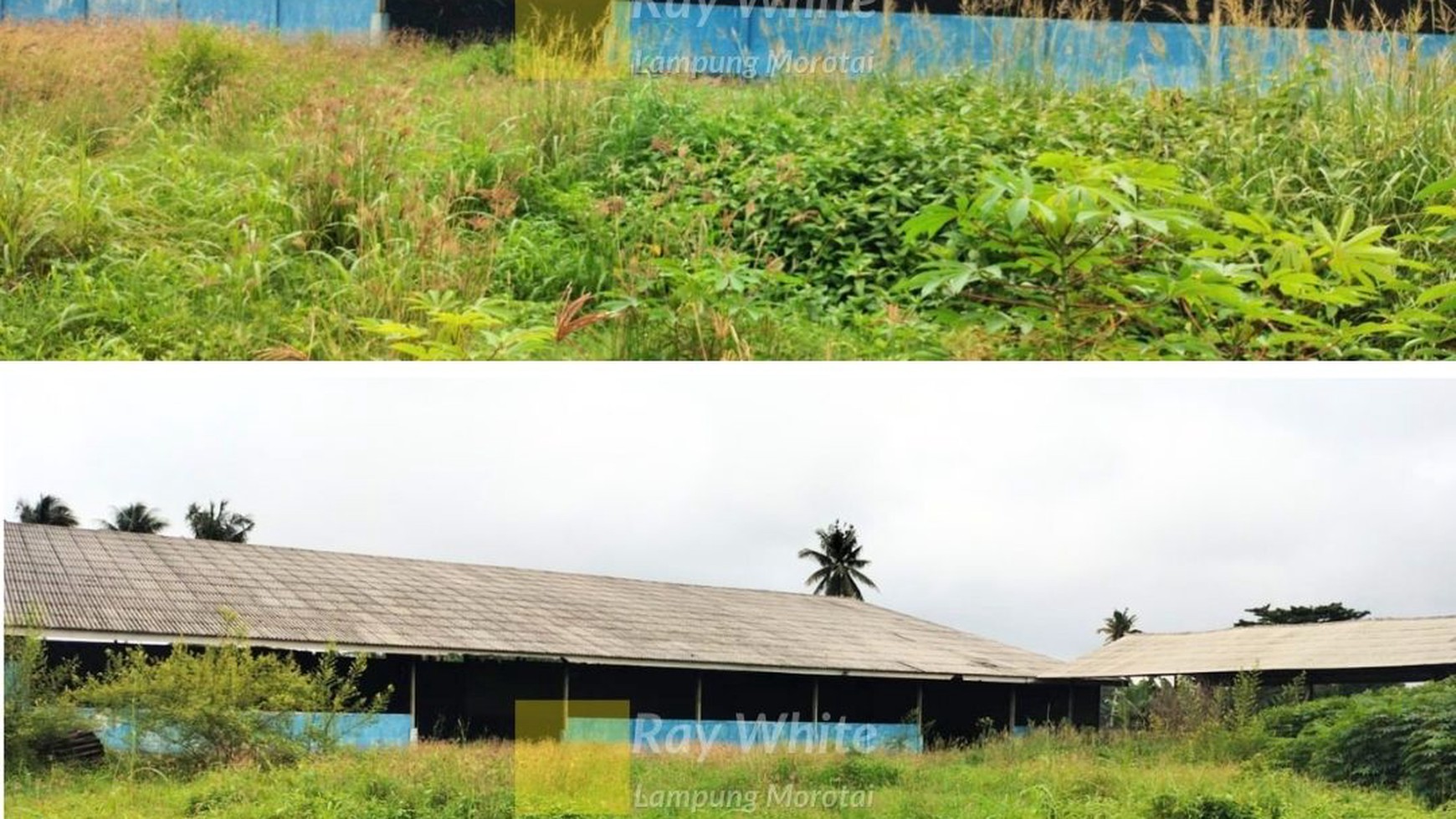 di jual area gudang di nuban lamtengah