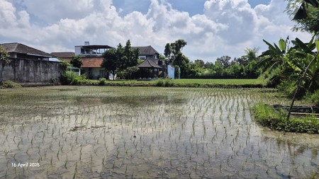 Land For Sale Near Keramas Beach, Gianyar