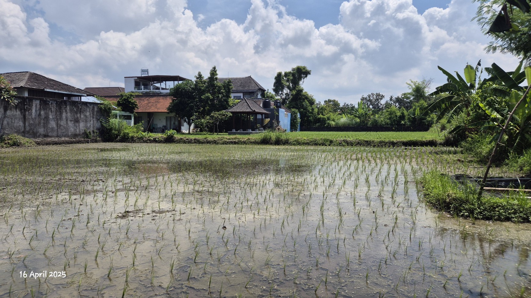 Land For Sale Near Keramas Beach, Gianyar