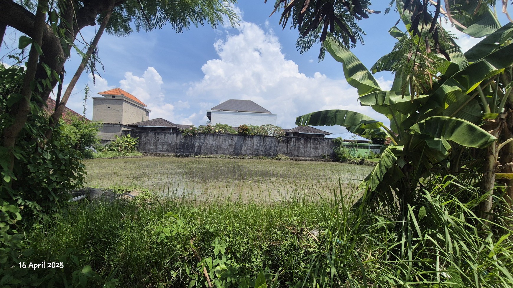 Land For Sale Near Keramas Beach, Gianyar