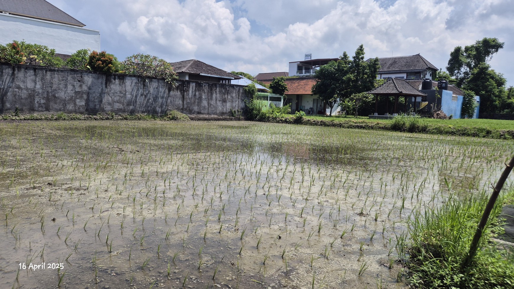 Land For Sale Near Keramas Beach, Gianyar