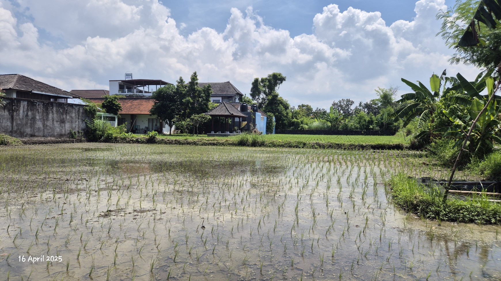 Land For Sale Near Keramas Beach, Gianyar