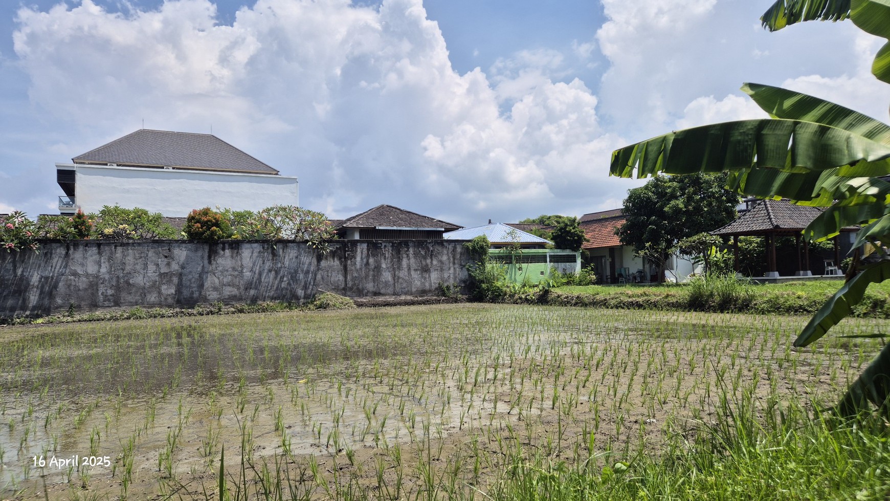 Land For Sale Near Keramas Beach, Gianyar