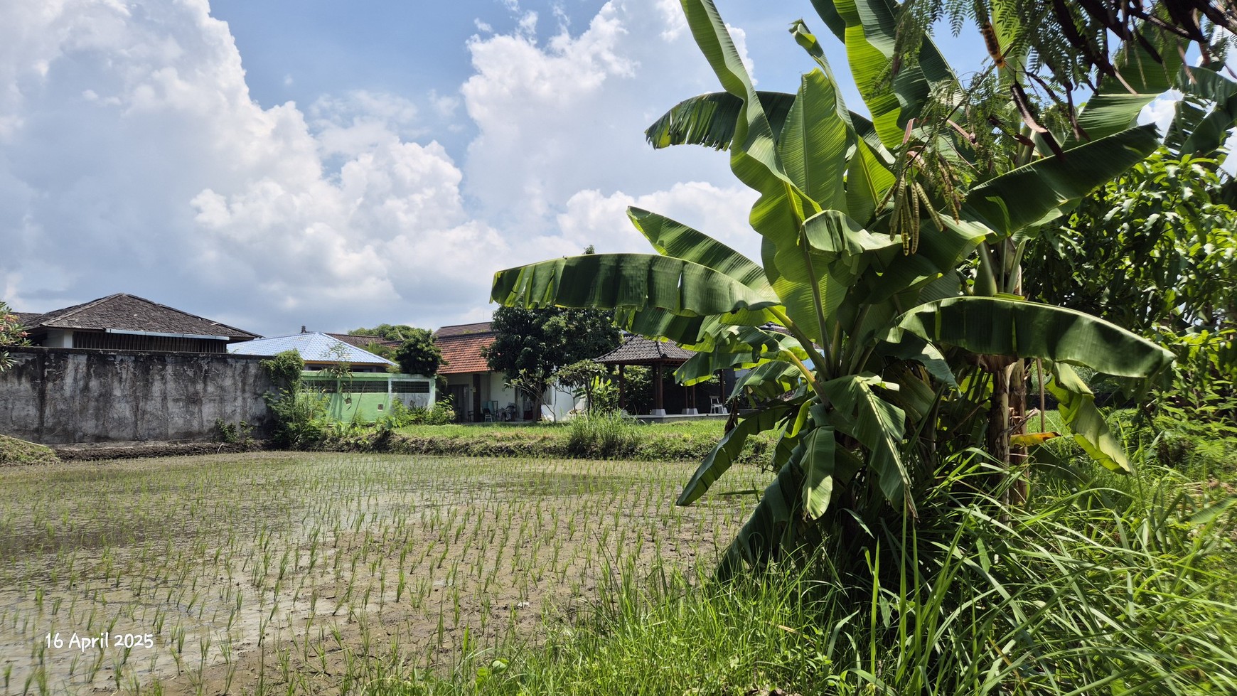 Land For Sale Near Keramas Beach, Gianyar