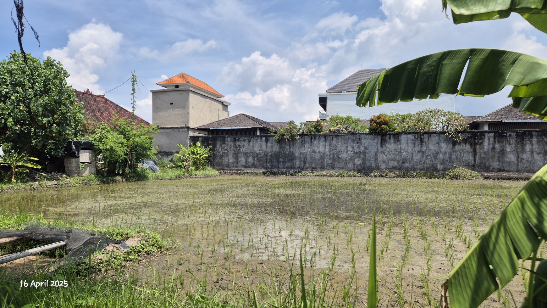 Land For Sale Near Keramas Beach, Gianyar