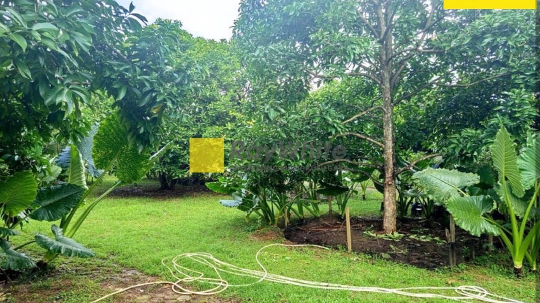 Dijual Tanah dan 2 Rumah