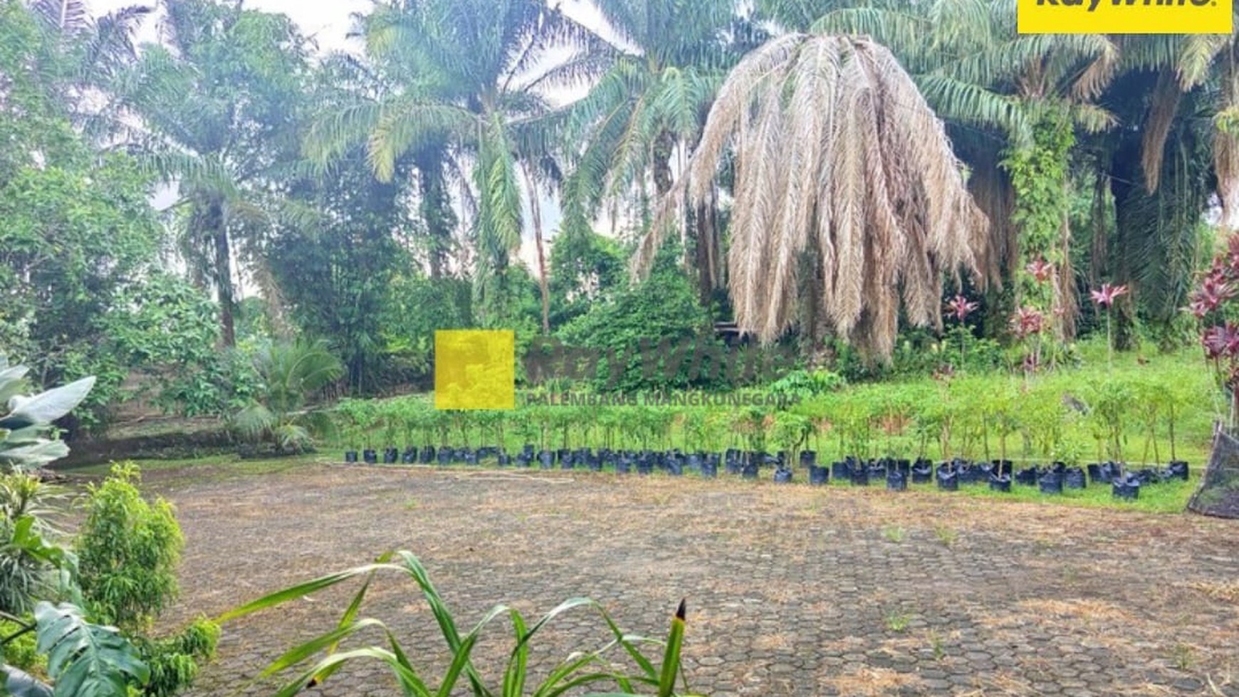 Dijual Tanah dan 2 Rumah