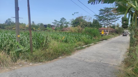 Tanah Sawah Luas 2440 Meter persegi Lokasi Dekat Kopi Klotok Pakem Sleman