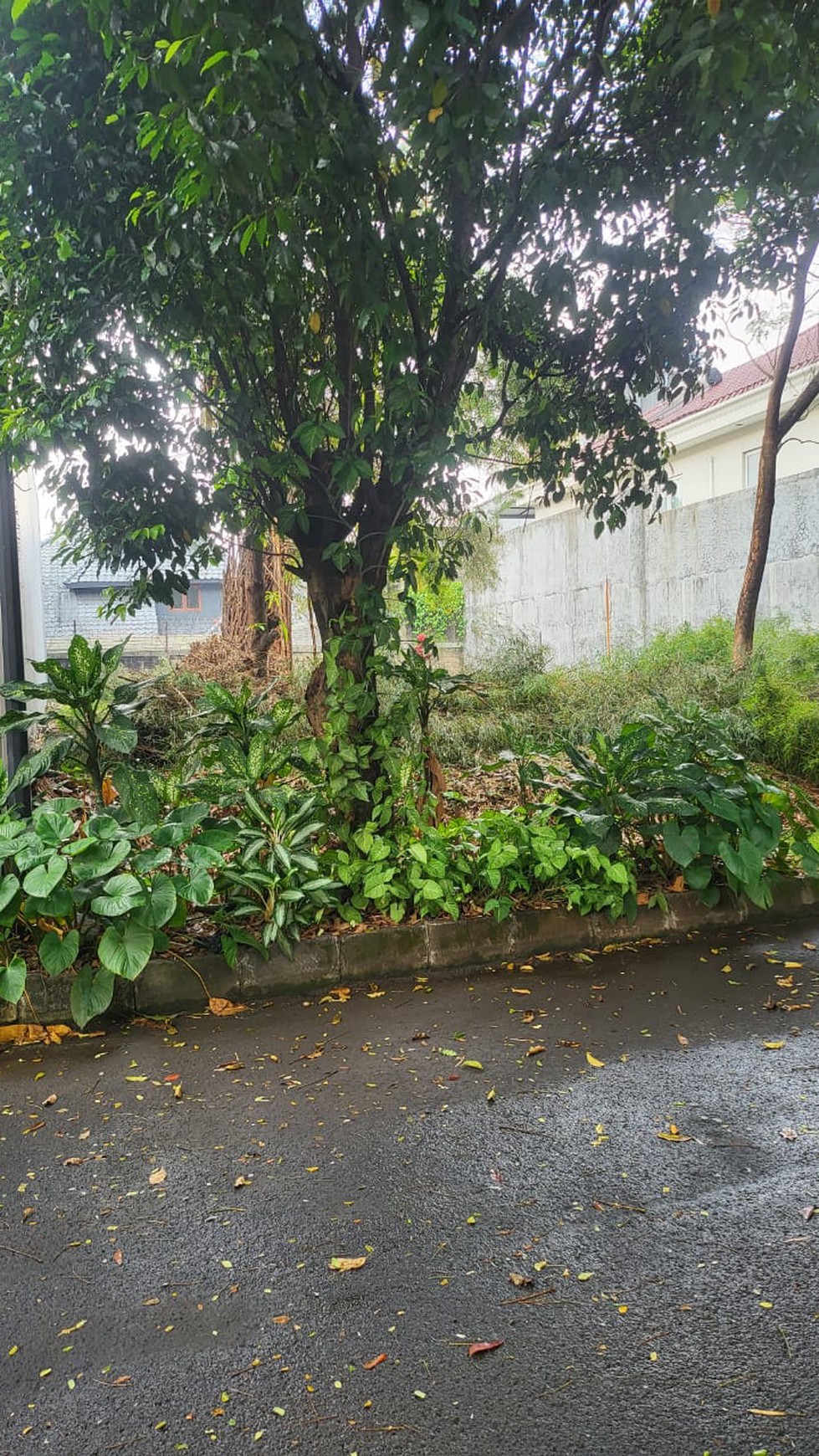 Kavling Dijual di Giri Loka BSD - Tangerang
