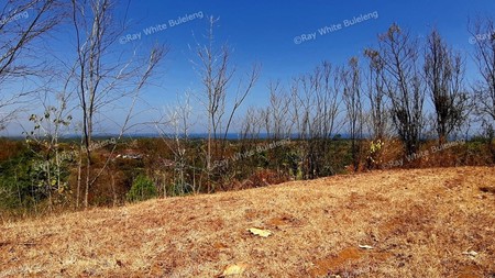 2000 M2 Land For Sale with Ocean View in Lovina Area