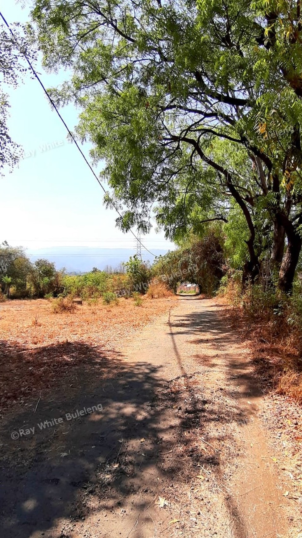 2000 M2 Land For Sale with Ocean View in Lovina Area