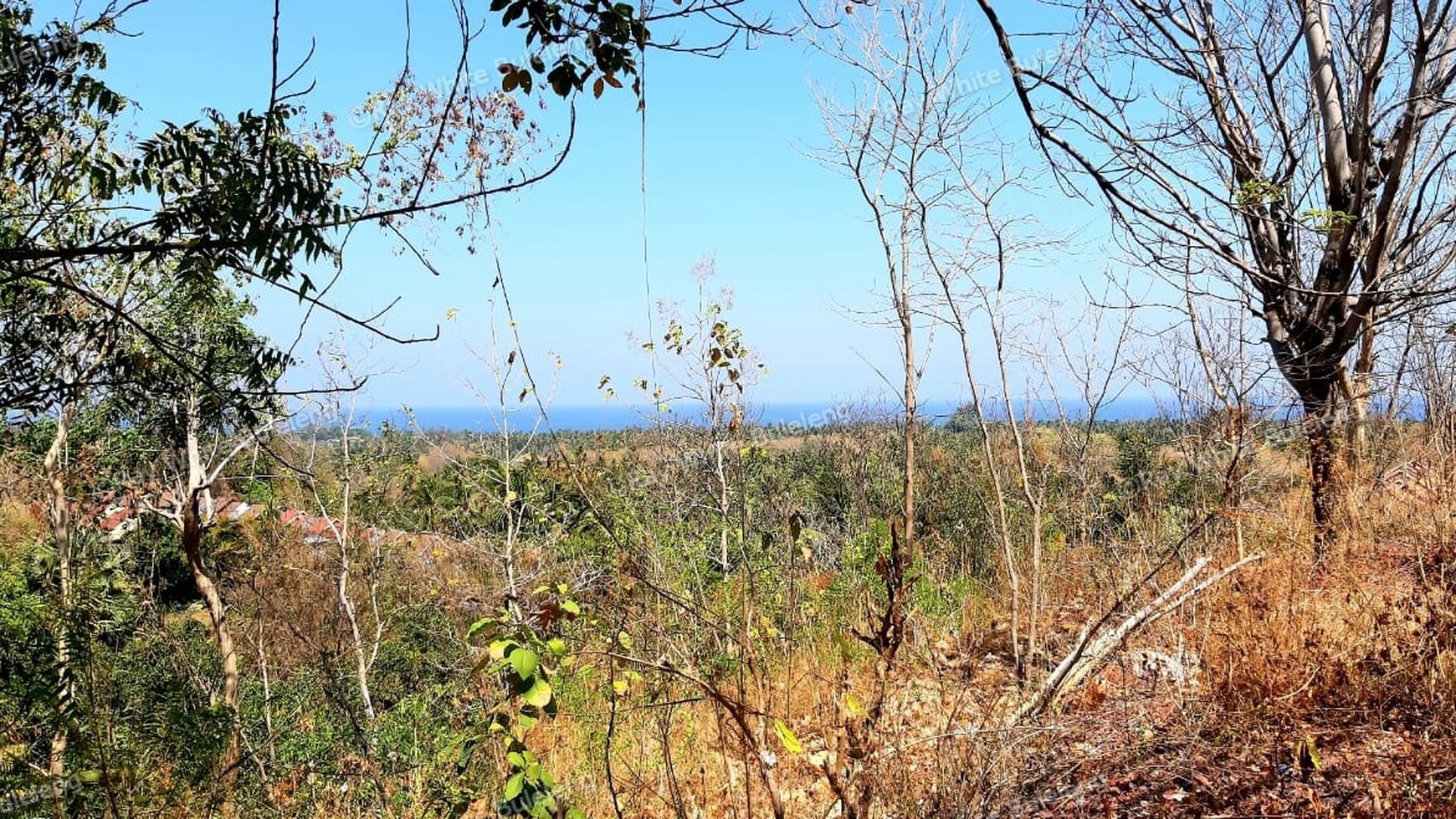 2000 M2 Land For Sale with Ocean View in Lovina Area