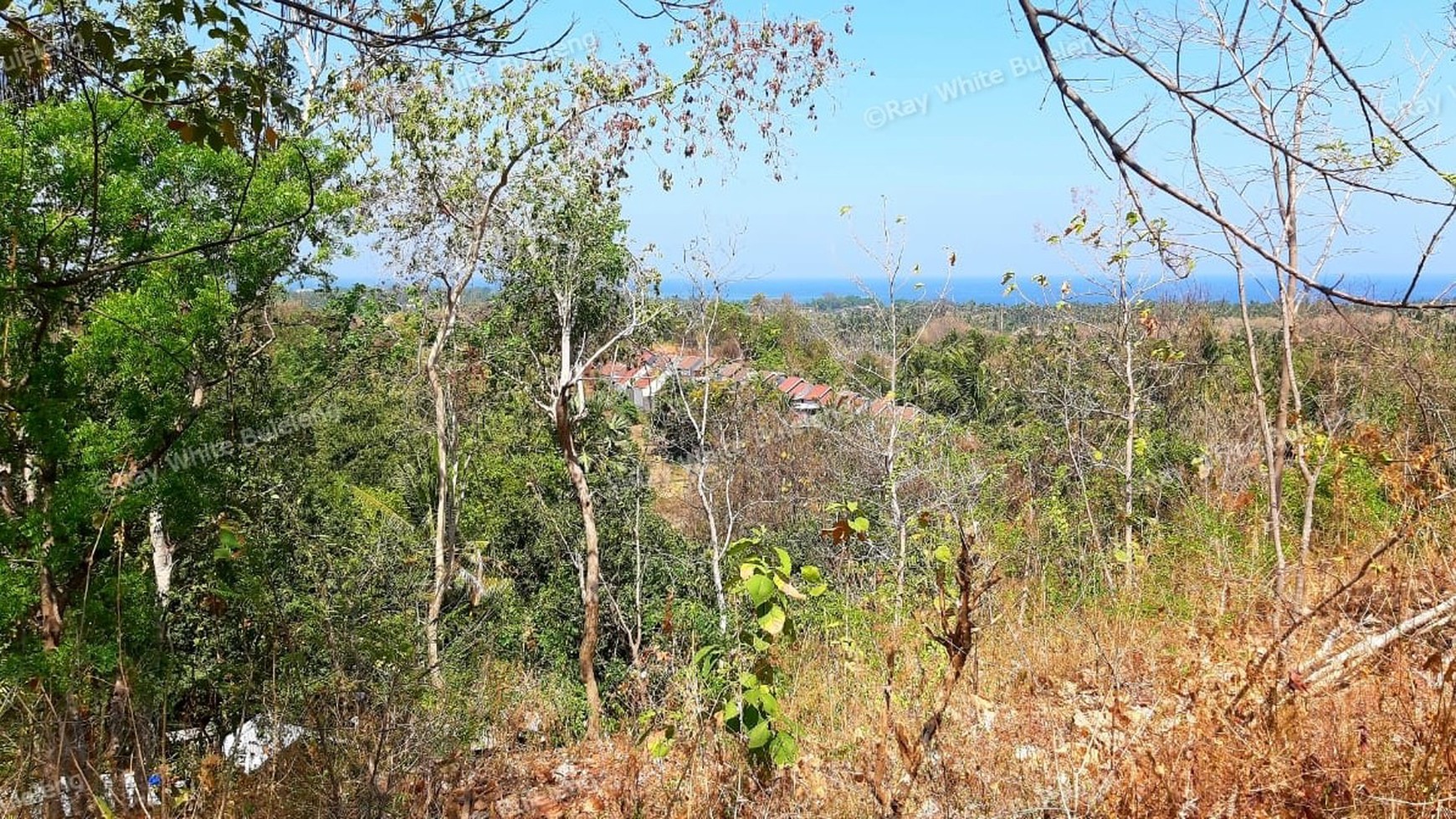 2000 M2 Land For Sale with Ocean View in Lovina Area