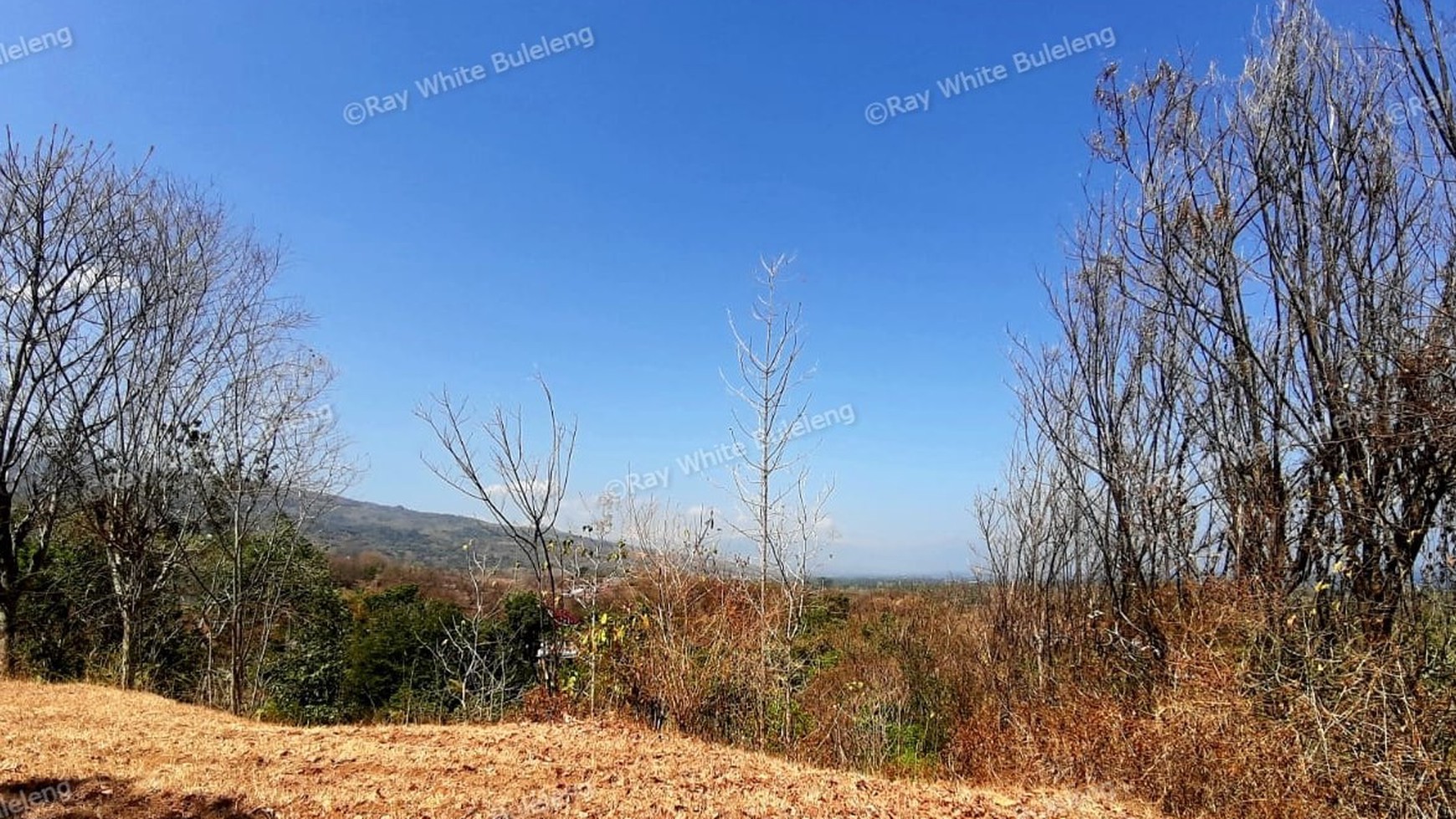 2000 M2 Land For Sale with Ocean View in Lovina Area