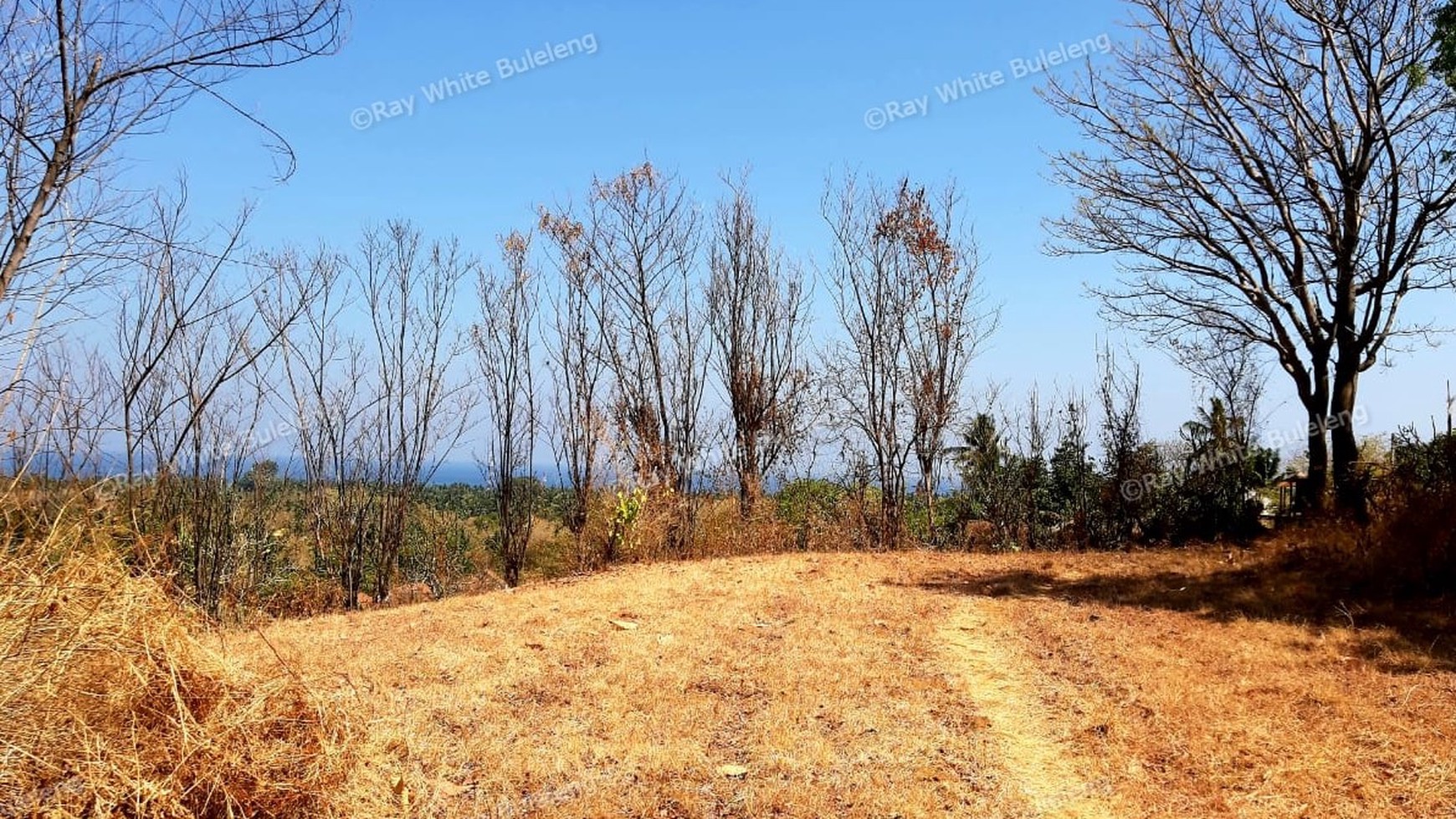 2000 M2 Land For Sale with Ocean View in Lovina Area