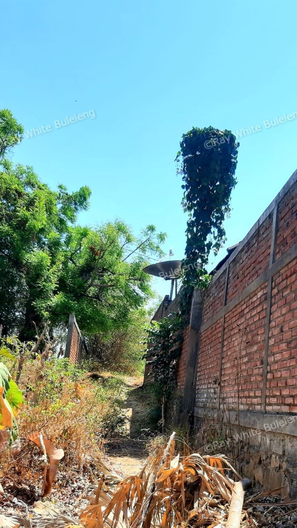 2000 M2 Land For Sale with Ocean View in Lovina Area