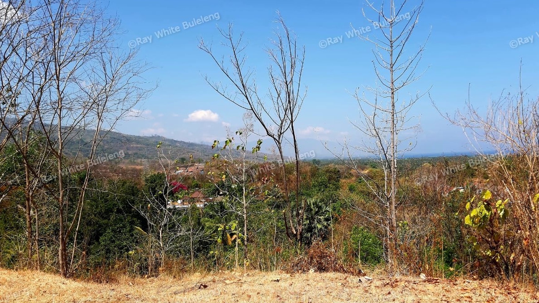 2000 M2 Land For Sale with Ocean View in Lovina Area