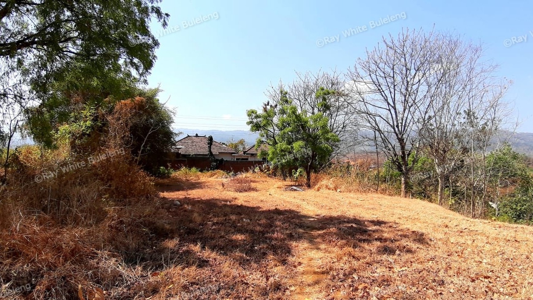 2000 M2 Land For Sale with Ocean View in Lovina Area