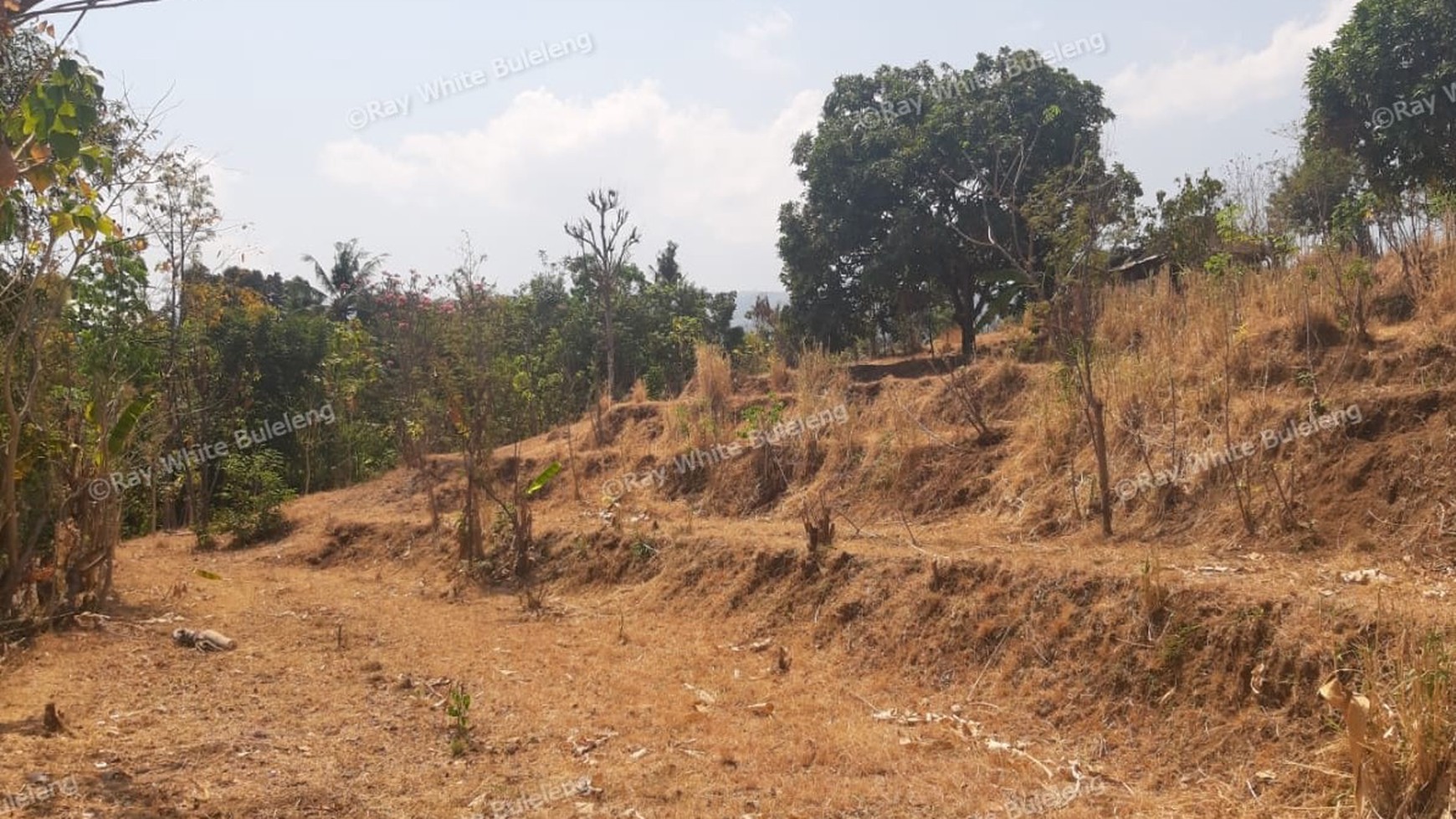 Lovina Land For Sale 5910 M2