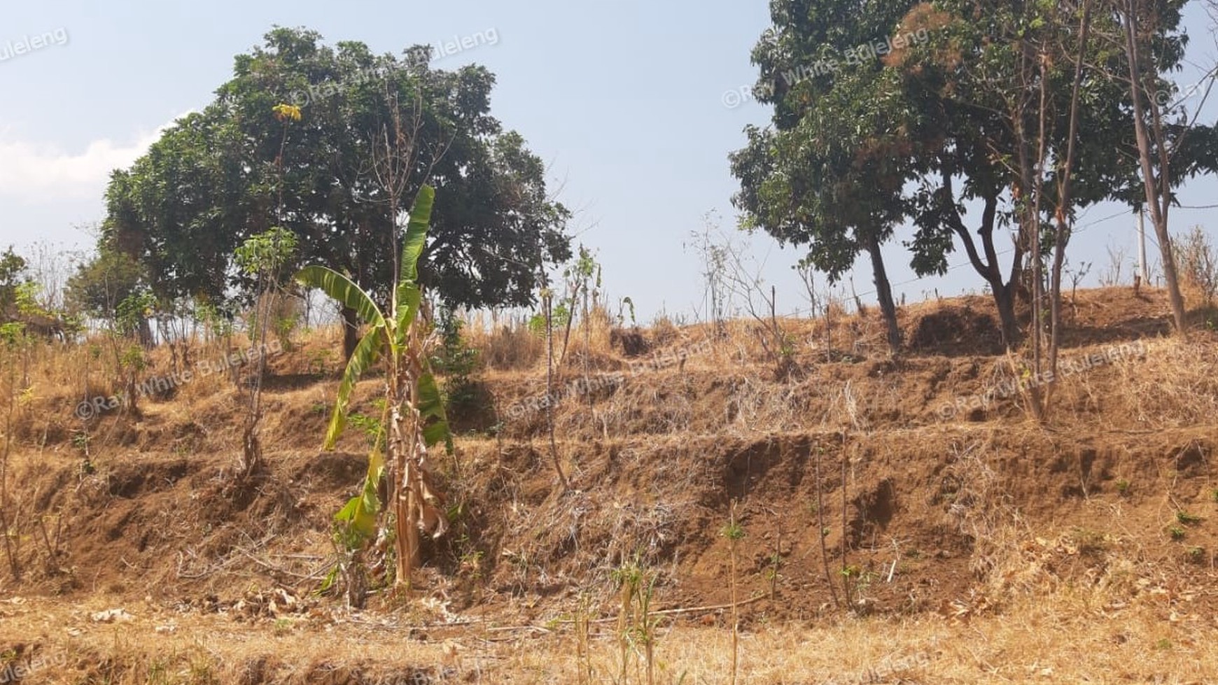 Lovina Land For Sale 5910 M2