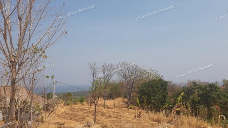 Lovina Land For Sale 5910 M2