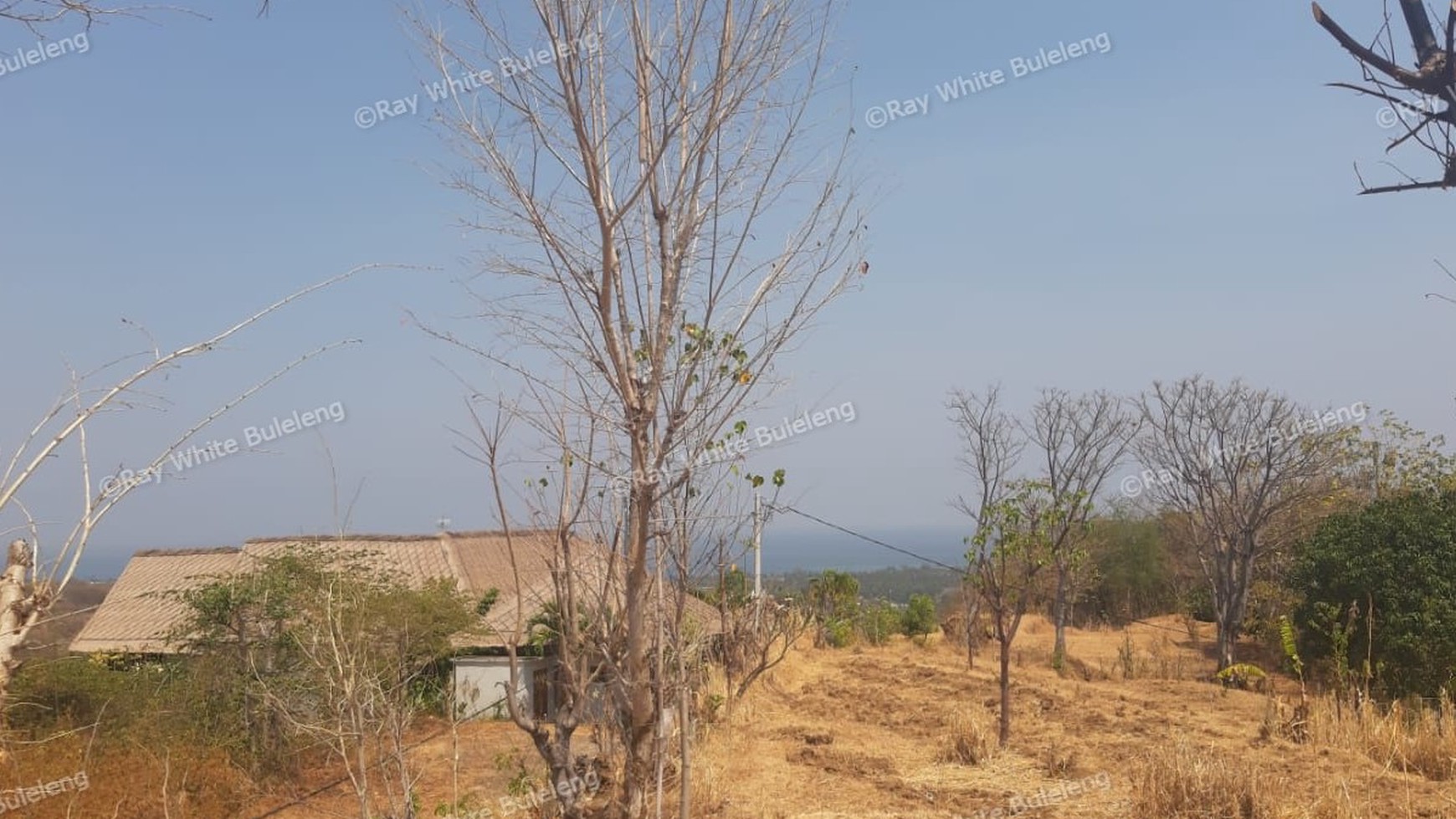 Lovina Land For Sale 5910 M2