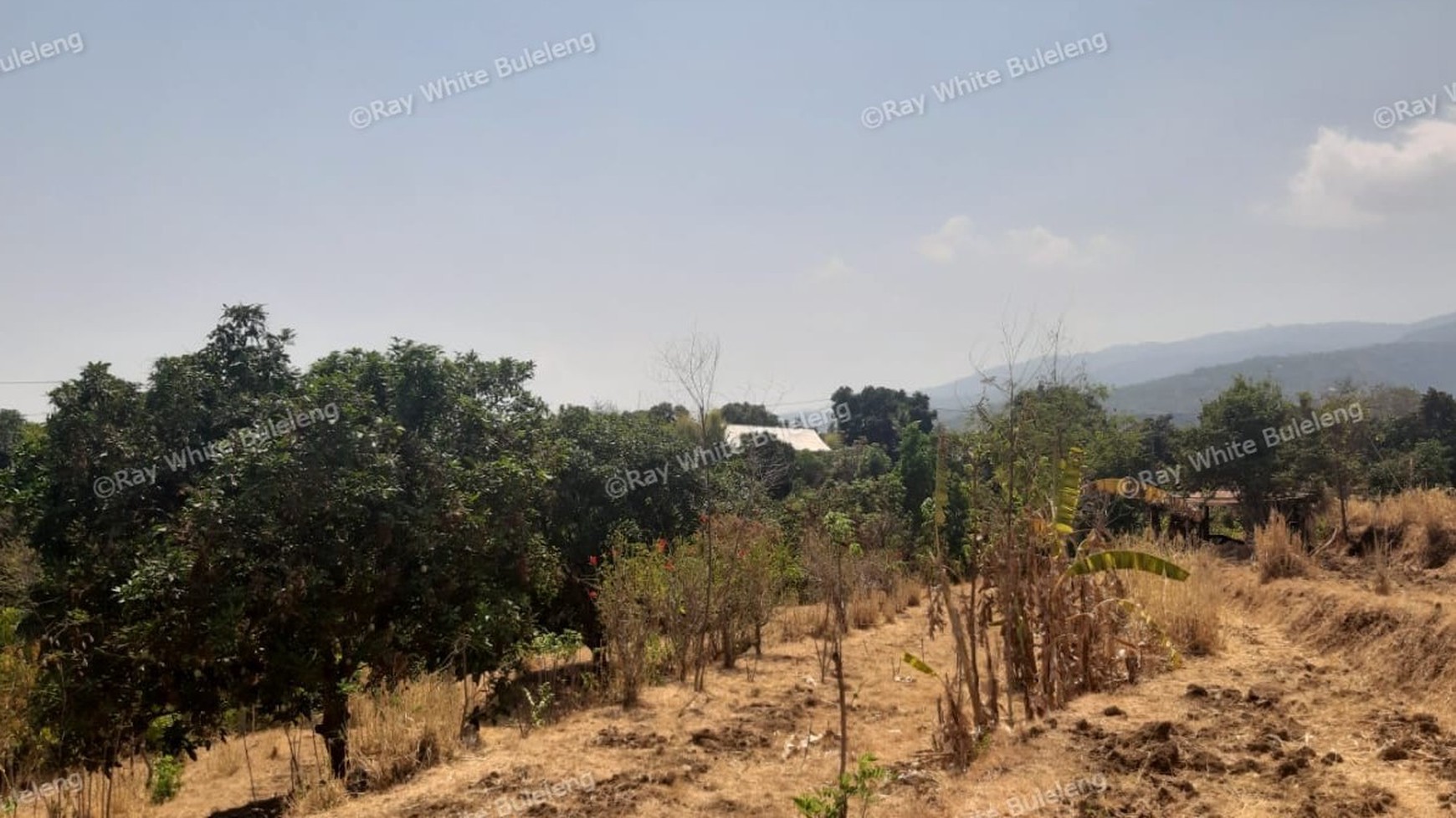Lovina Land For Sale 5910 M2