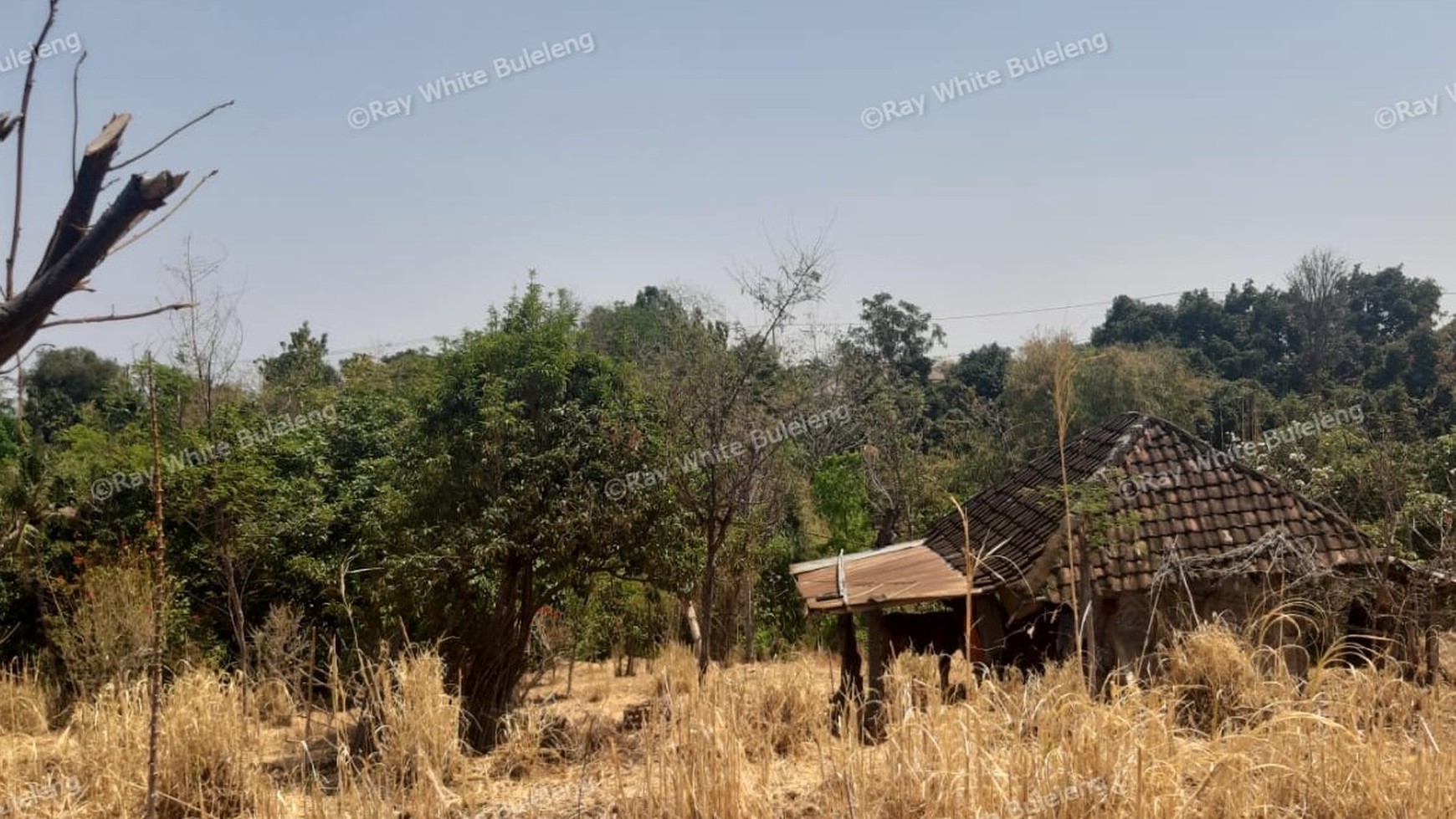 Lovina Land For Sale 5910 M2