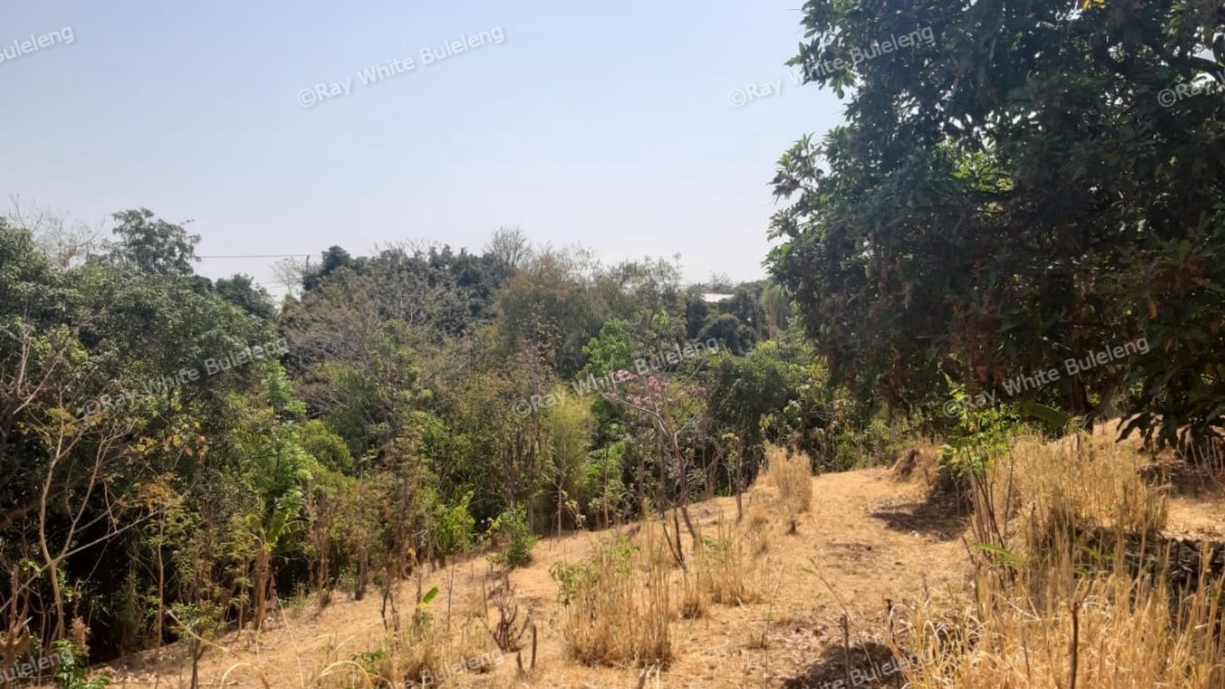 Lovina Land For Sale 5910 M2