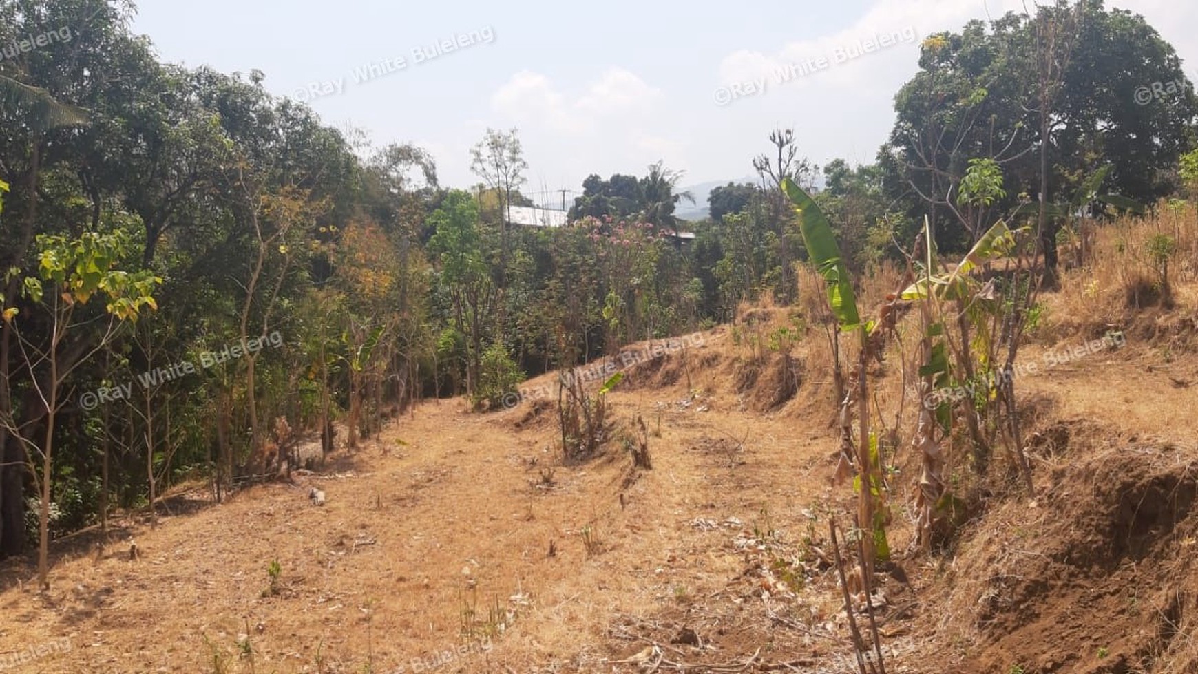 Lovina Land For Sale 5910 M2
