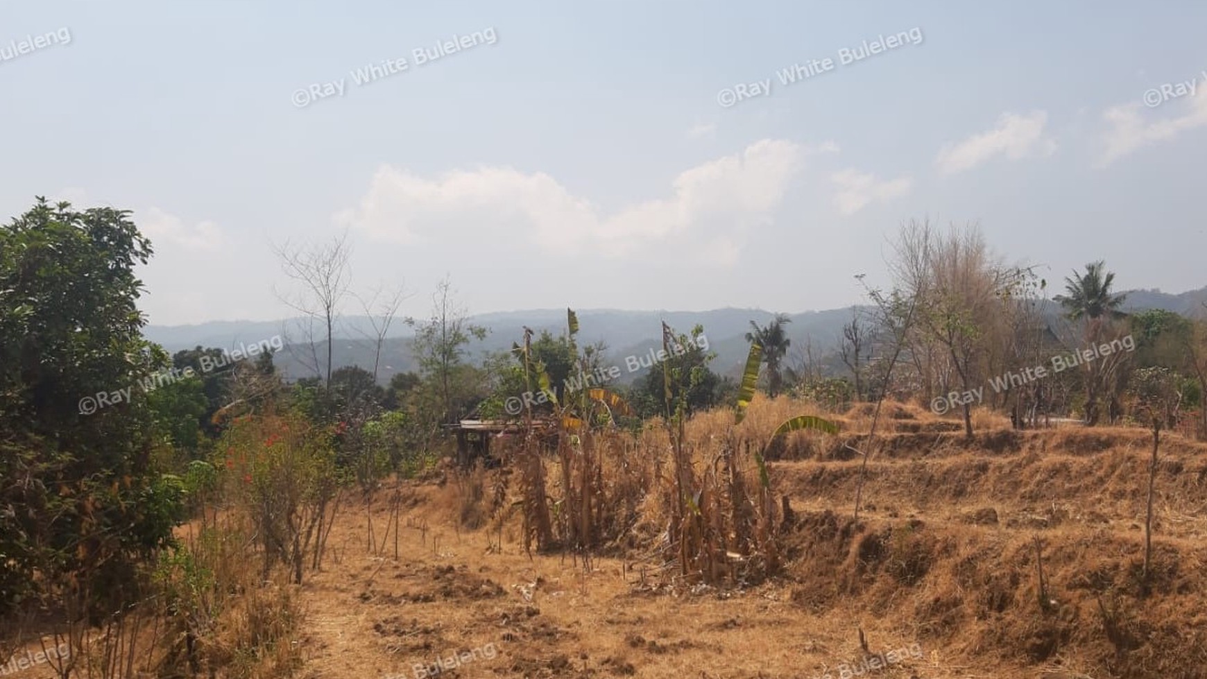 Lovina Land For Sale 5910 M2