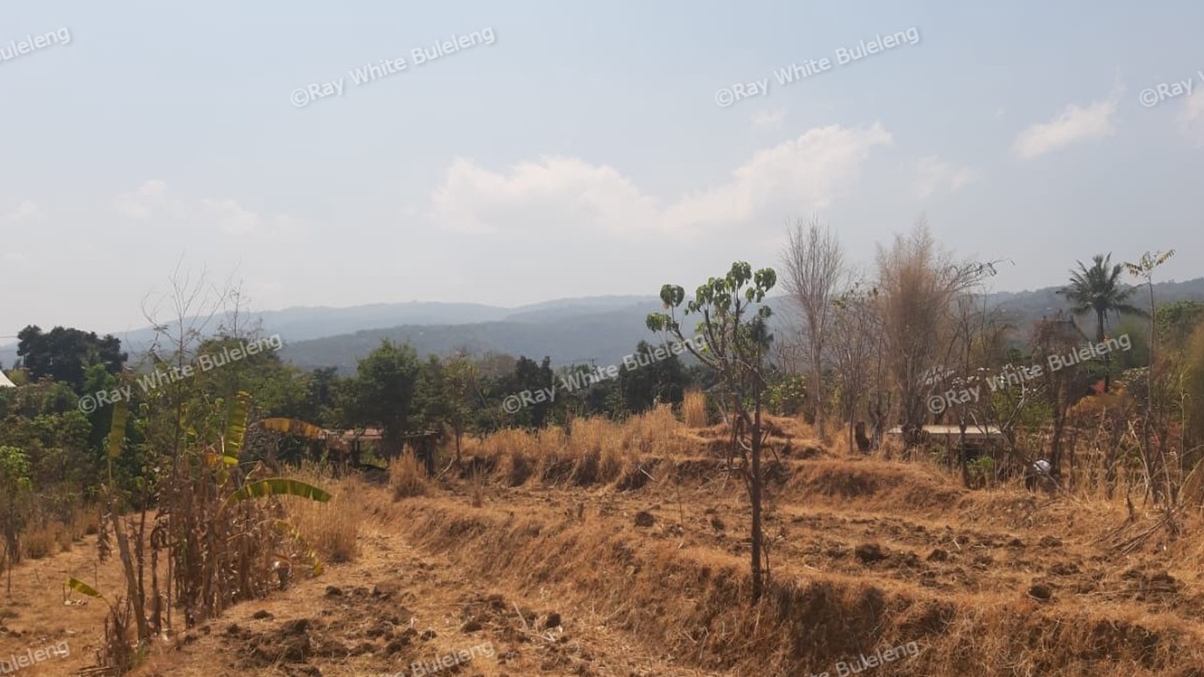 Lovina Land For Sale 5910 M2