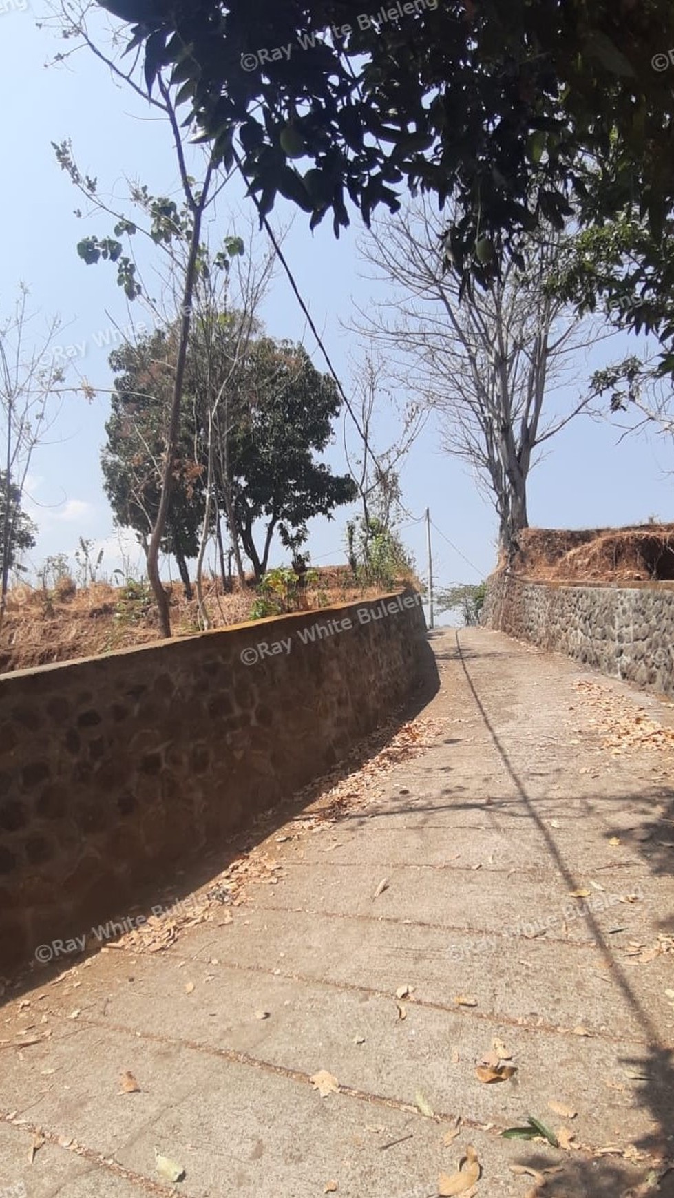 Lovina Land For Sale 5910 M2