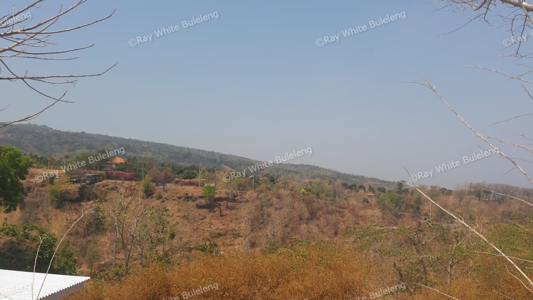 Lovina Land For Sale 5910 M2