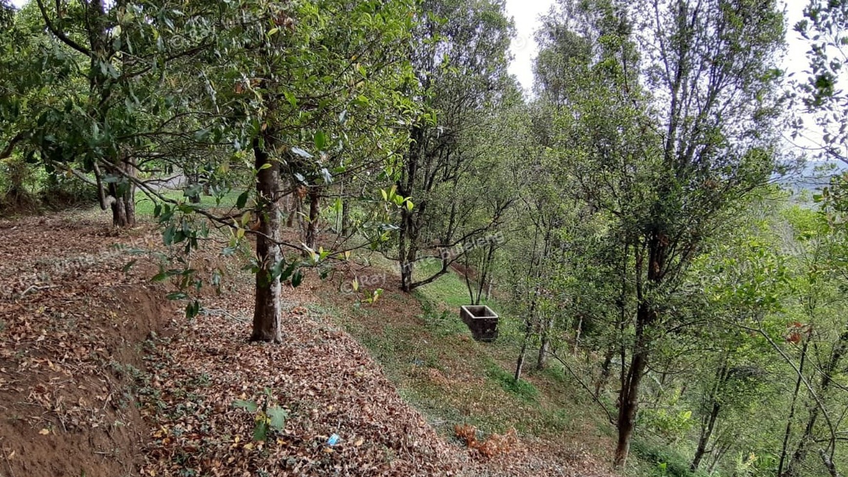 Amazing Rice Terrace View Land For Sale In Banjar
