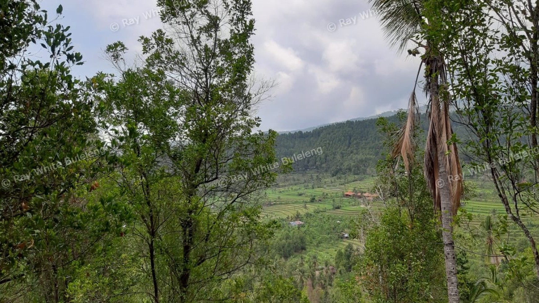Amazing Rice Terrace View Land For Sale In Banjar