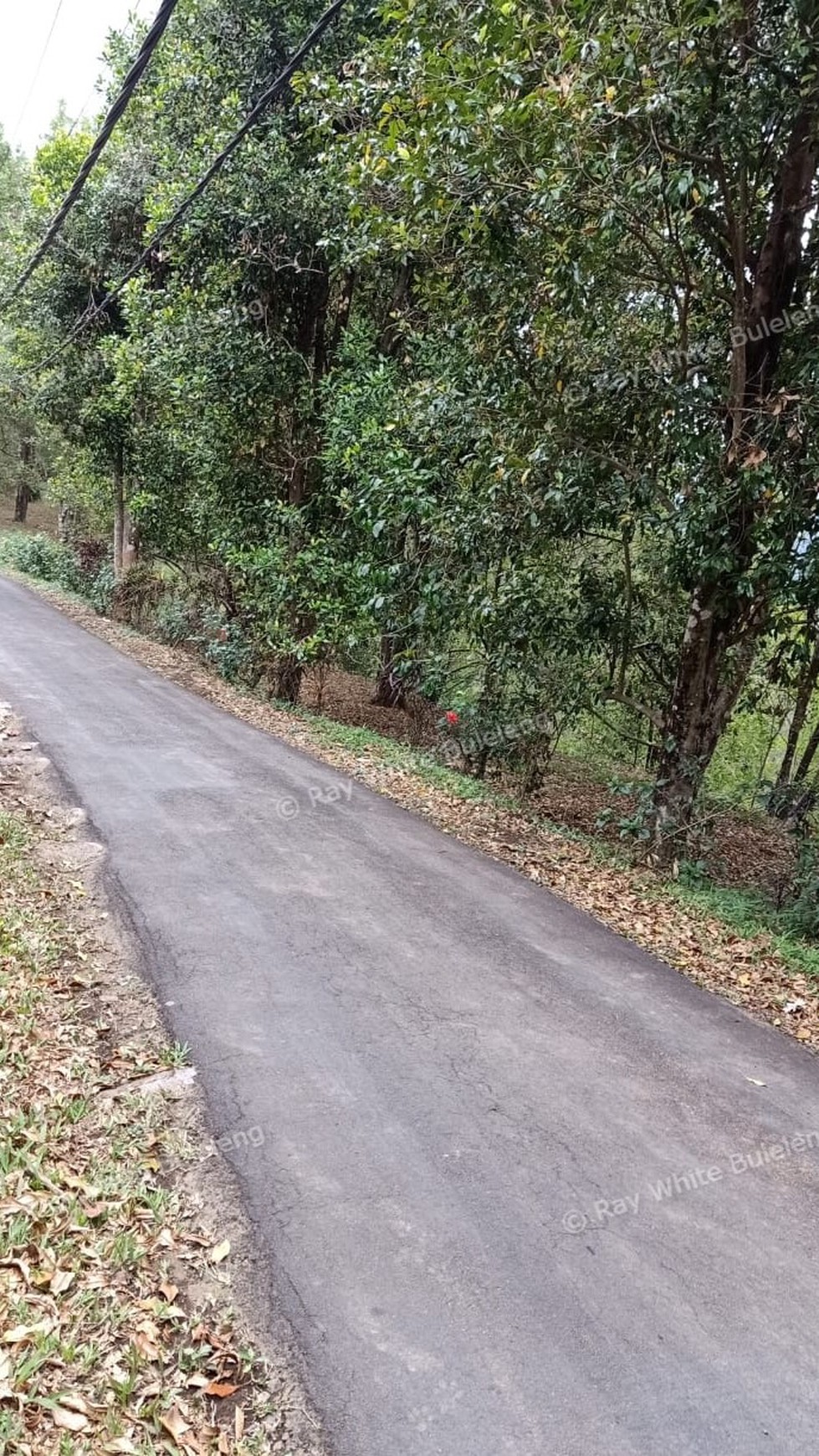 Amazing Rice Terrace View Land For Sale In Banjar
