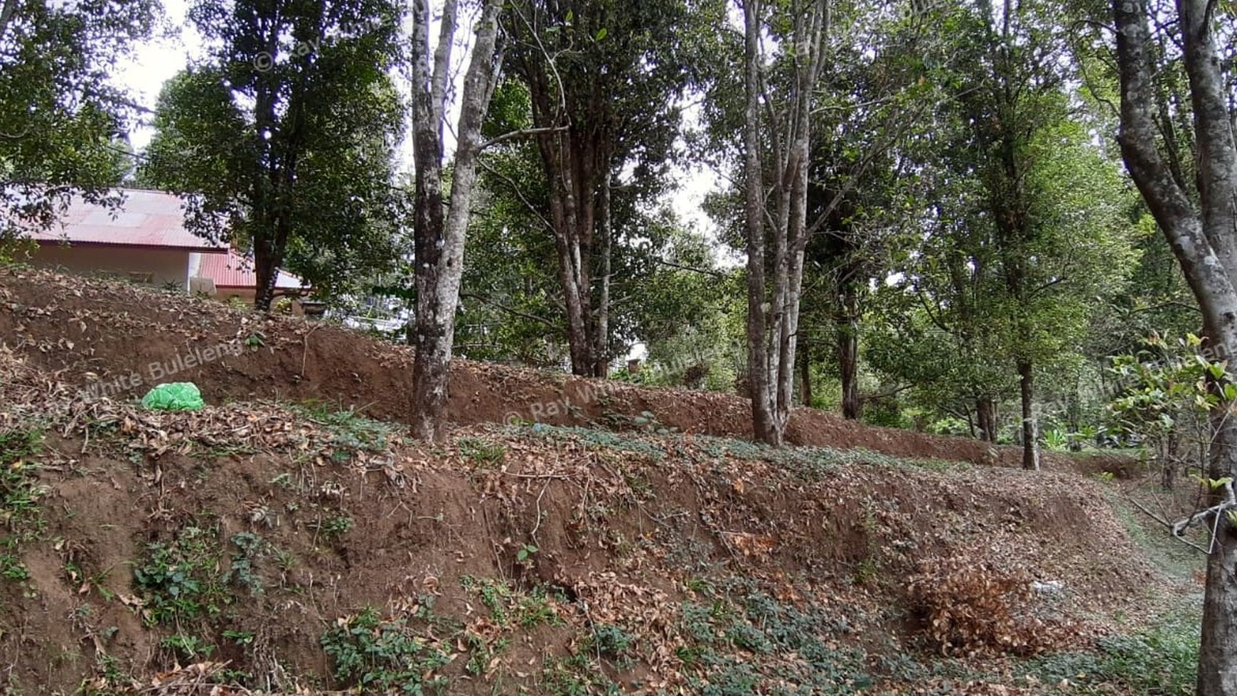 Amazing Rice Terrace View Land For Sale In Banjar