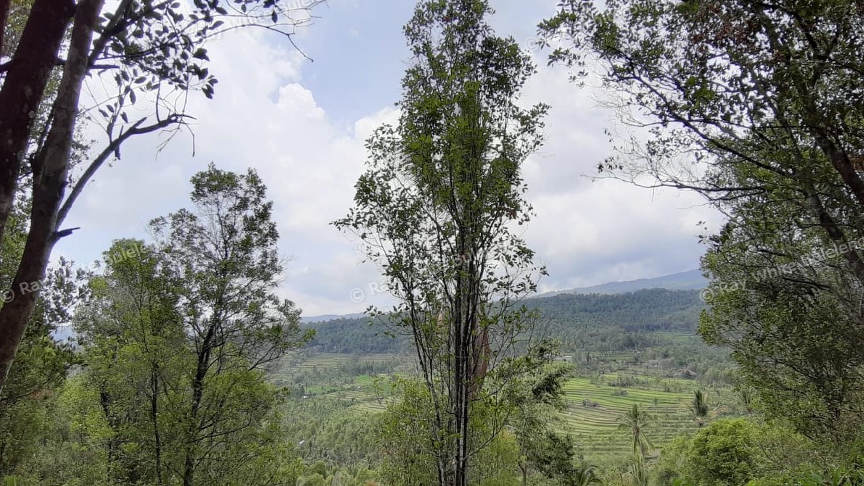 Amazing Rice Terrace View Land For Sale In Banjar
