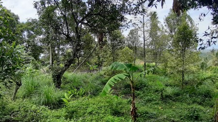 Sea View Land For Sale!