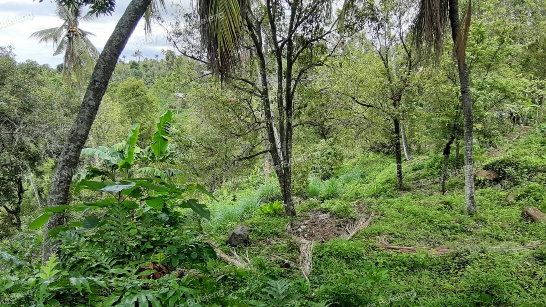 Sea View Land For Sale!
