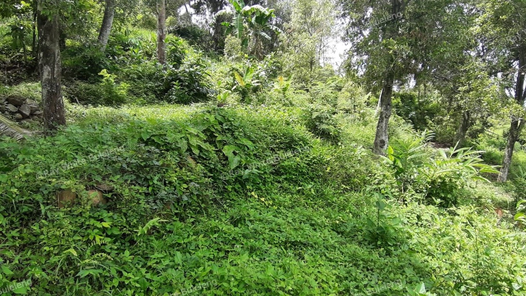 Sea View Land For Sale!